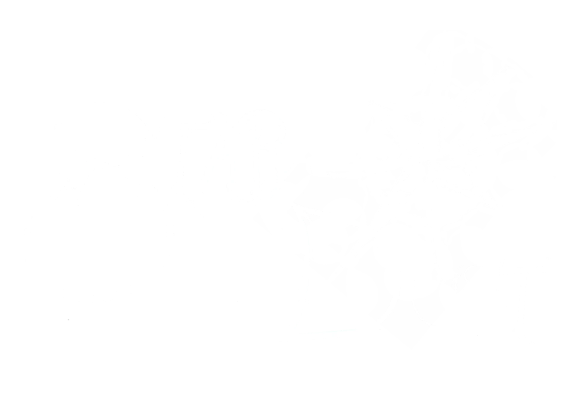 STARDUST